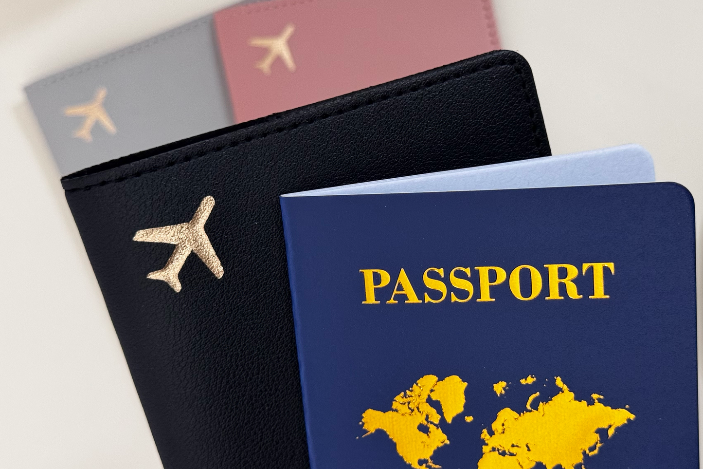 The Passport Box